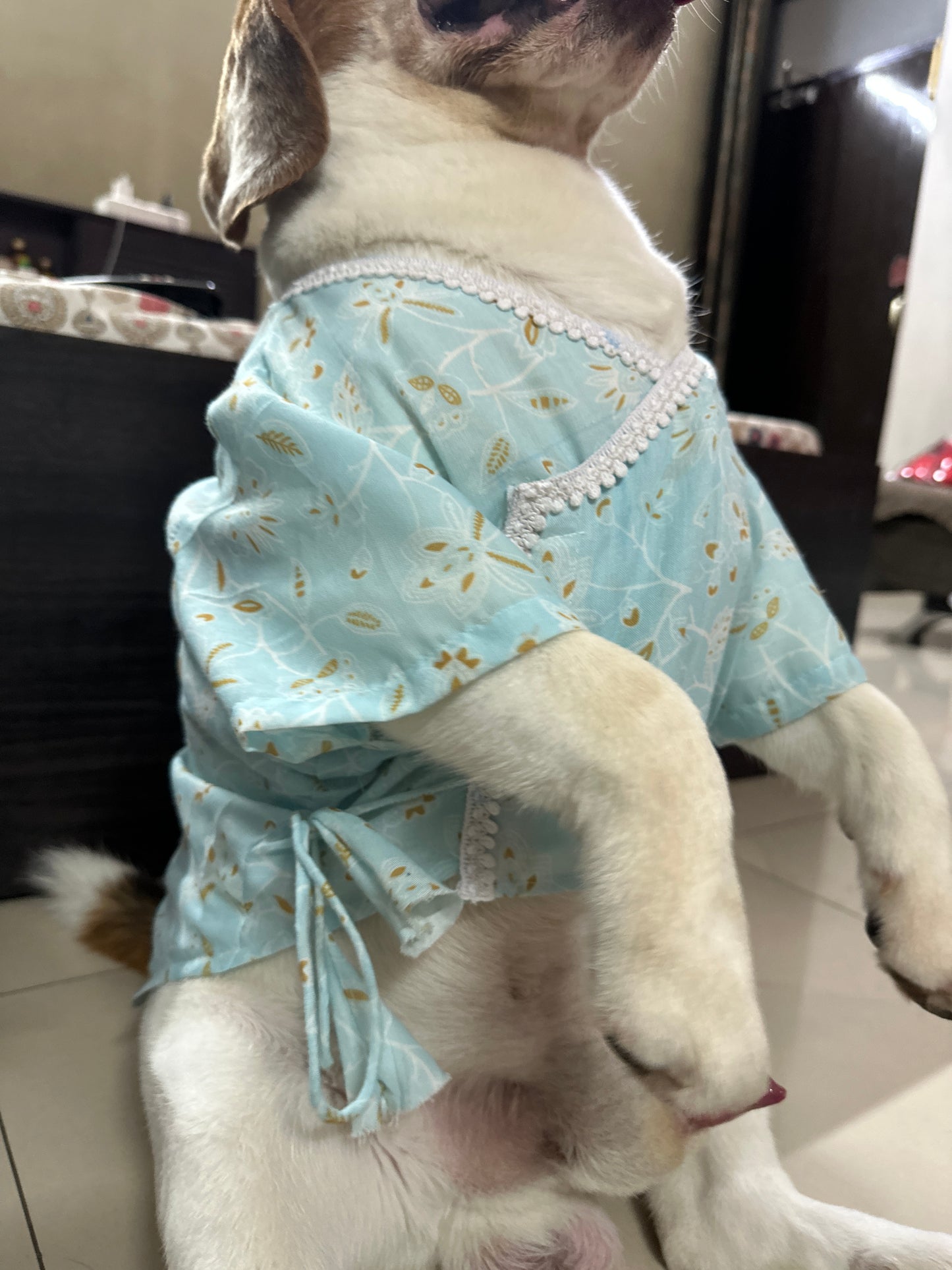 Blue Angrakha Kurta set