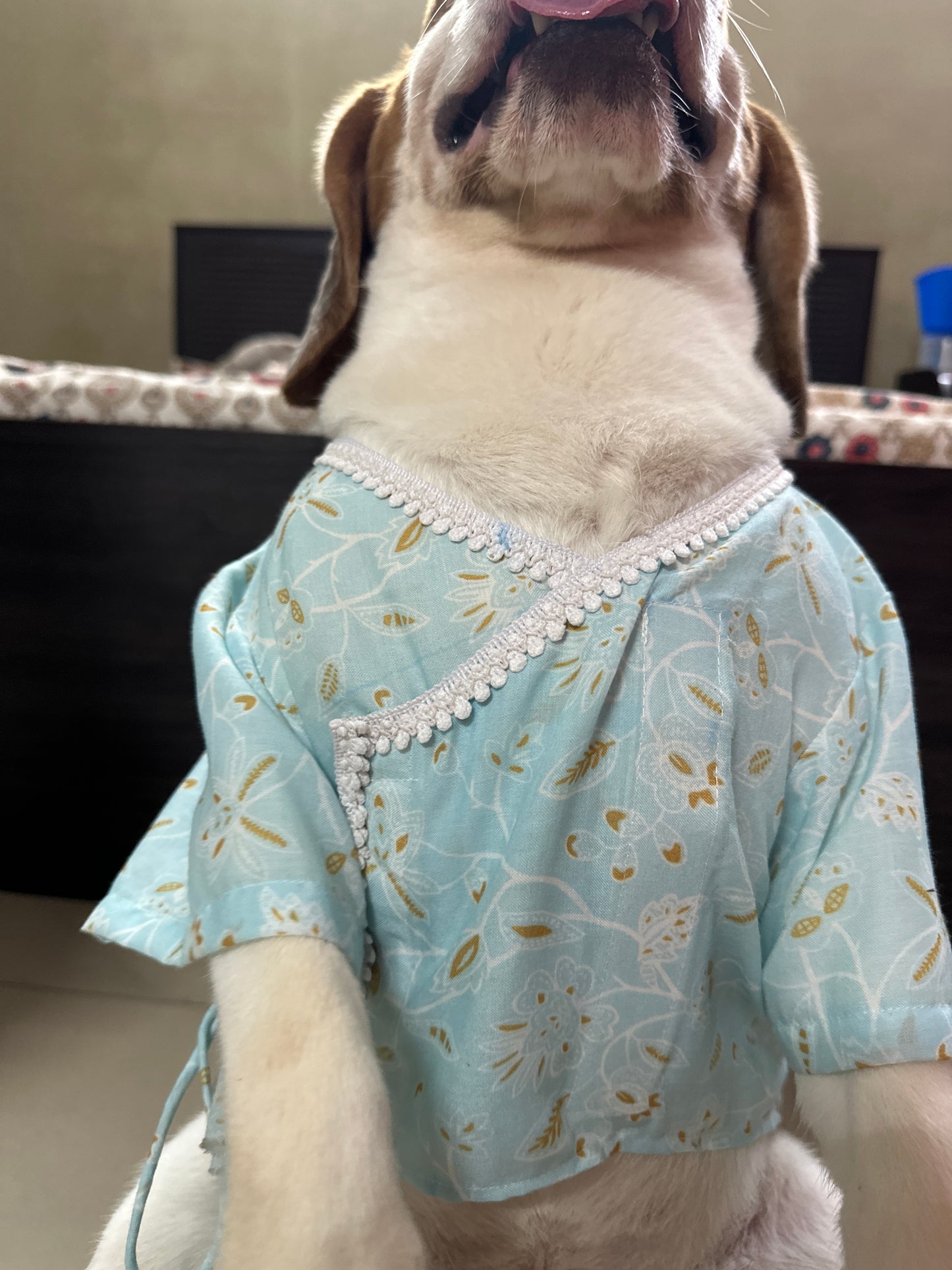 Blue Angrakha Kurta set