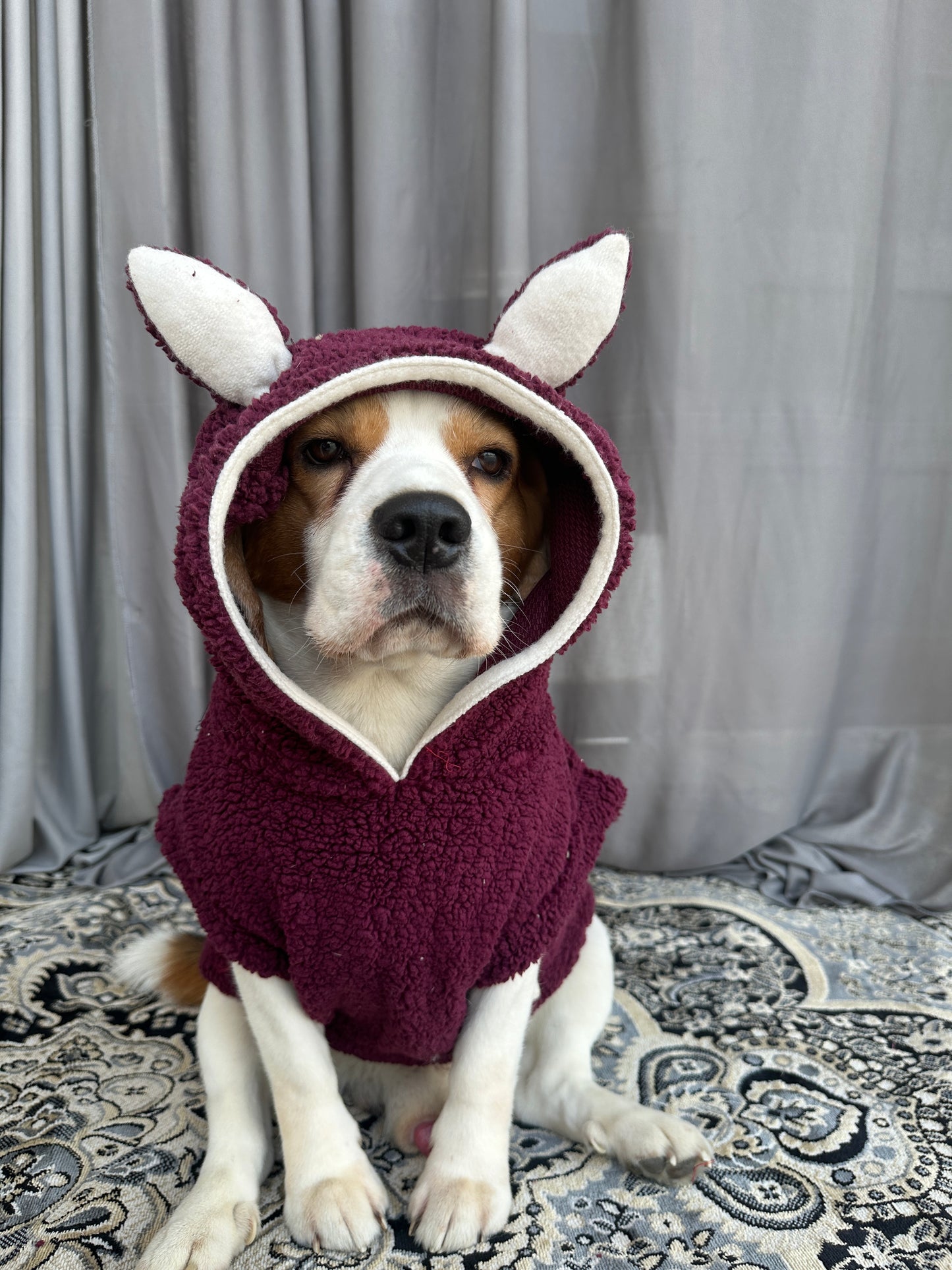 Red Teddy Hoodie Jacket