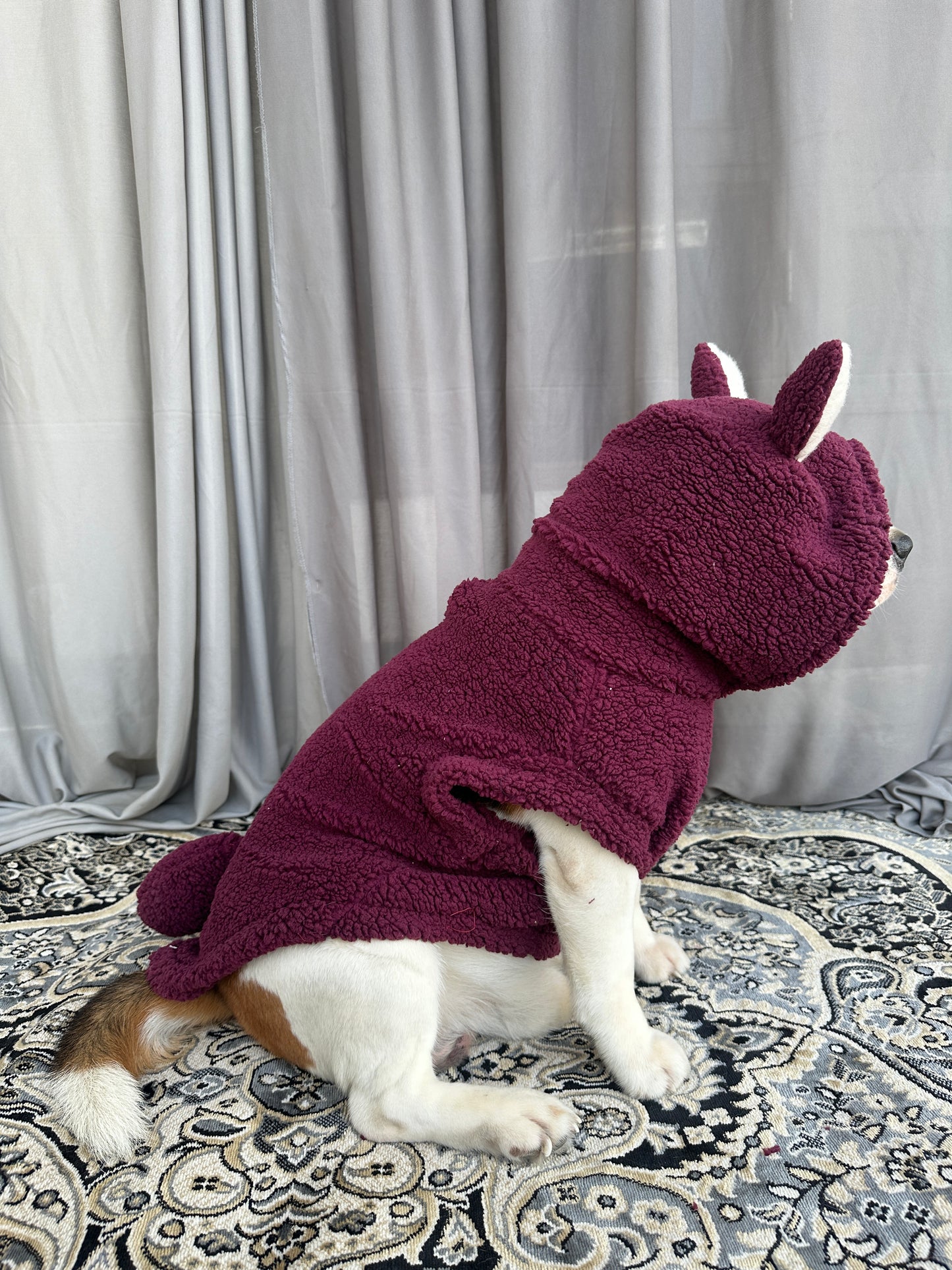 Red Teddy Hoodie Jacket