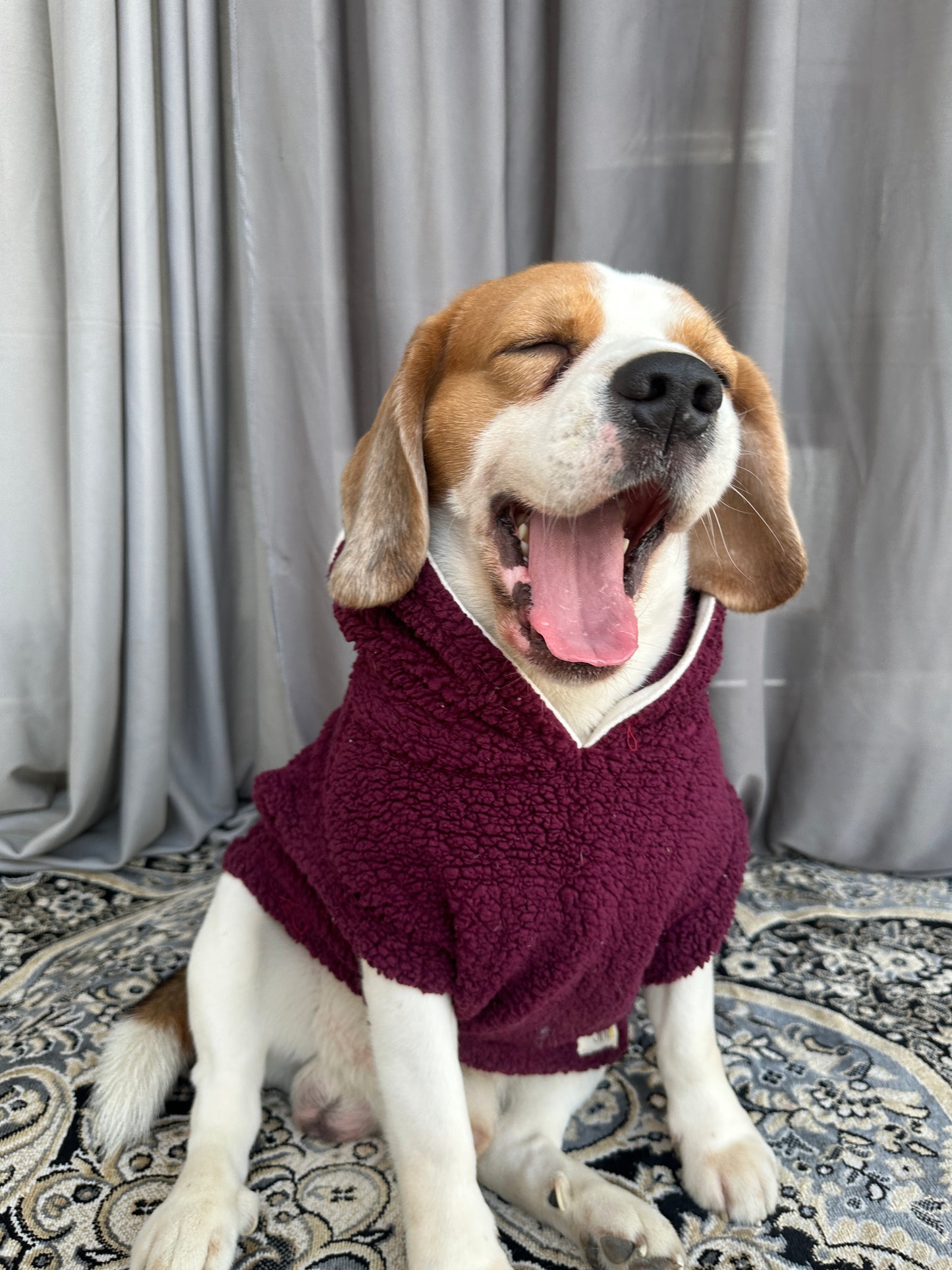 Red Teddy Hoodie Jacket