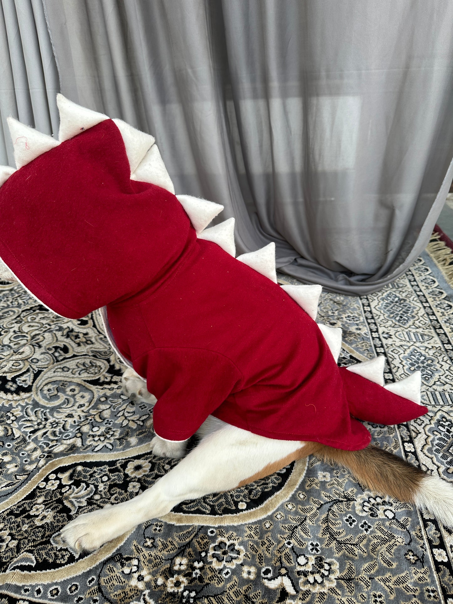 Red Dinosaur Hoodie Jacket