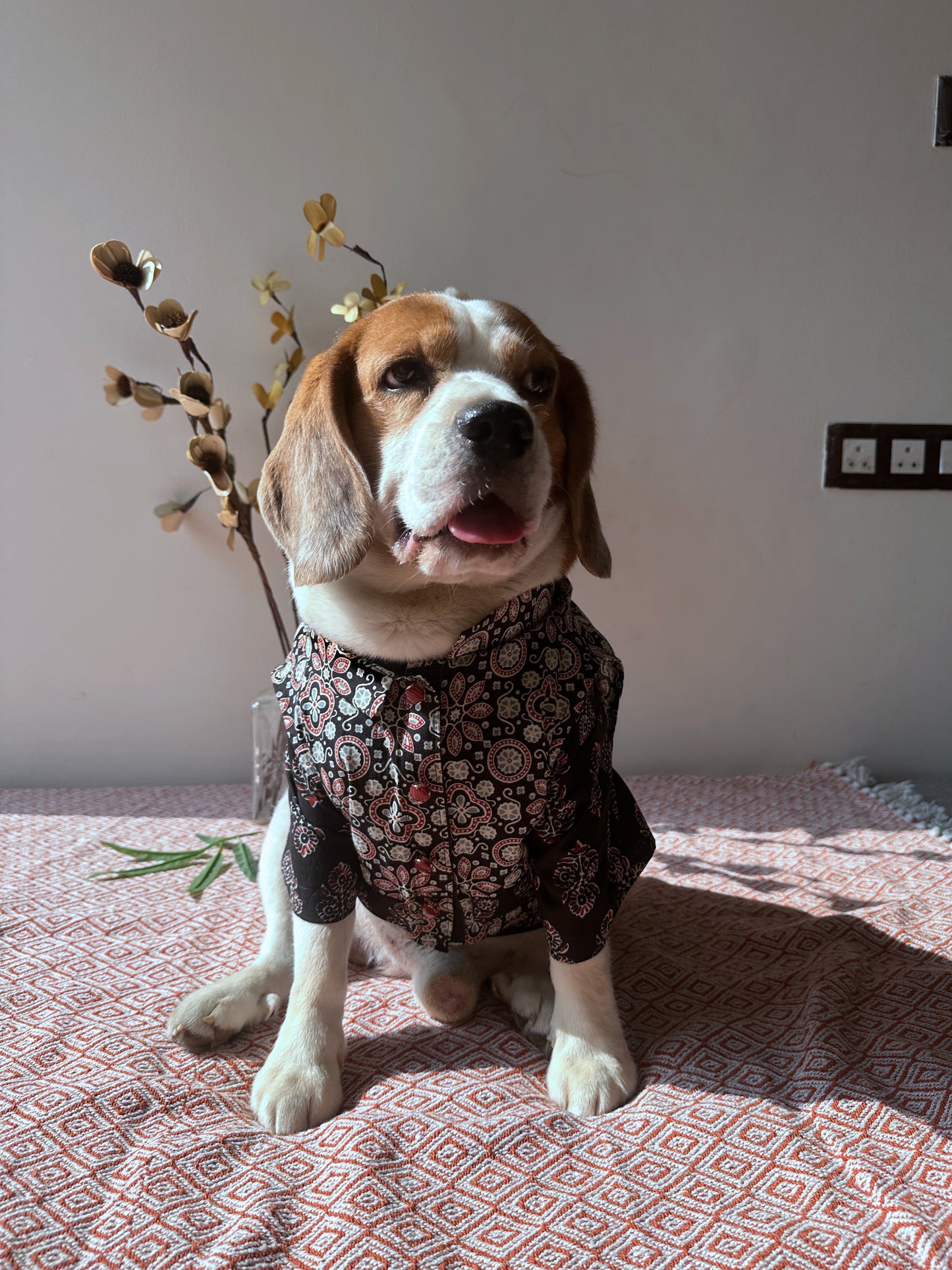 Black Ajrakh Jacket Kurta set