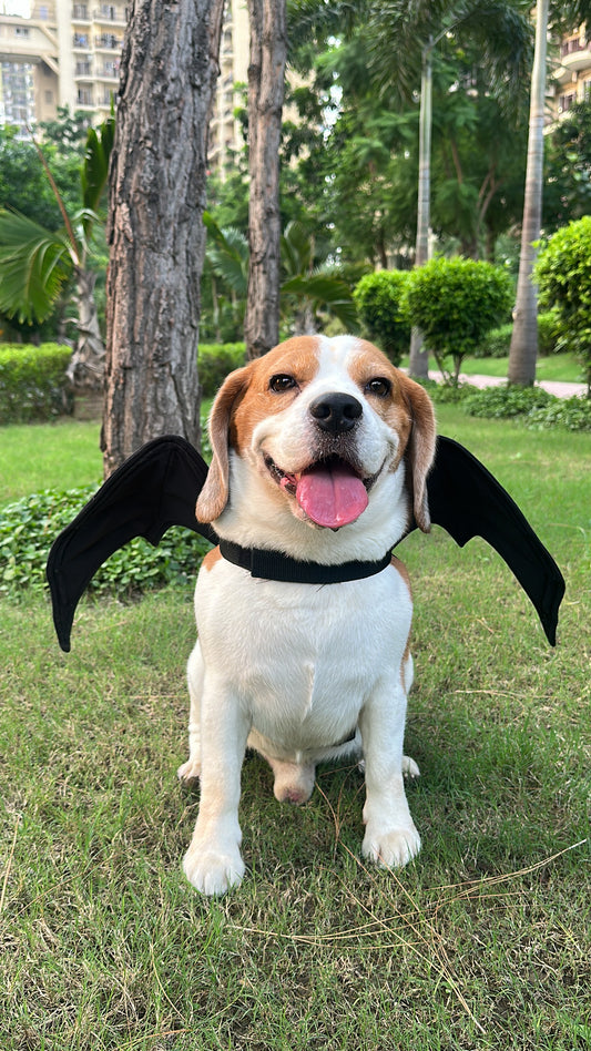 Black Batwing
