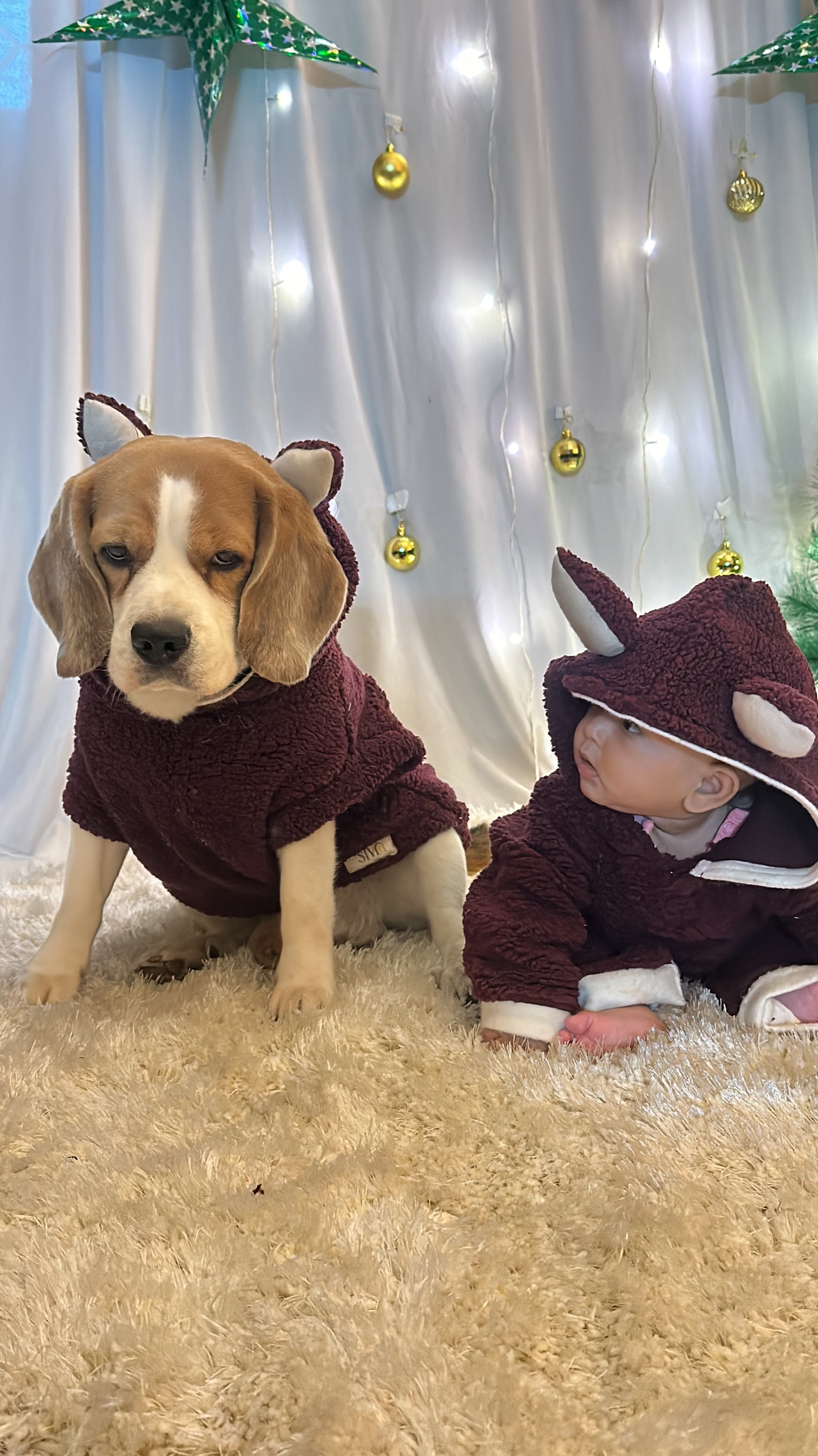 Red Teddy Hoodie Jacket