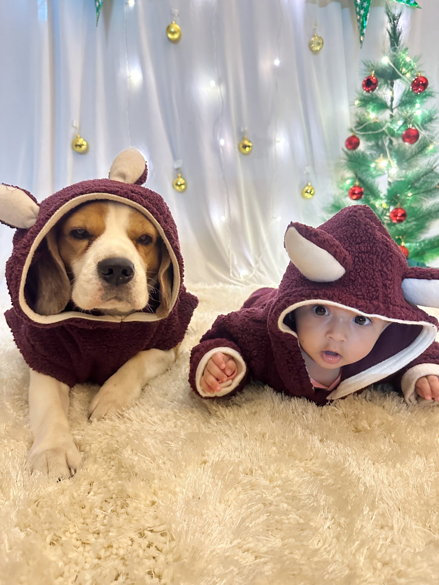 Red Teddy Twinning set