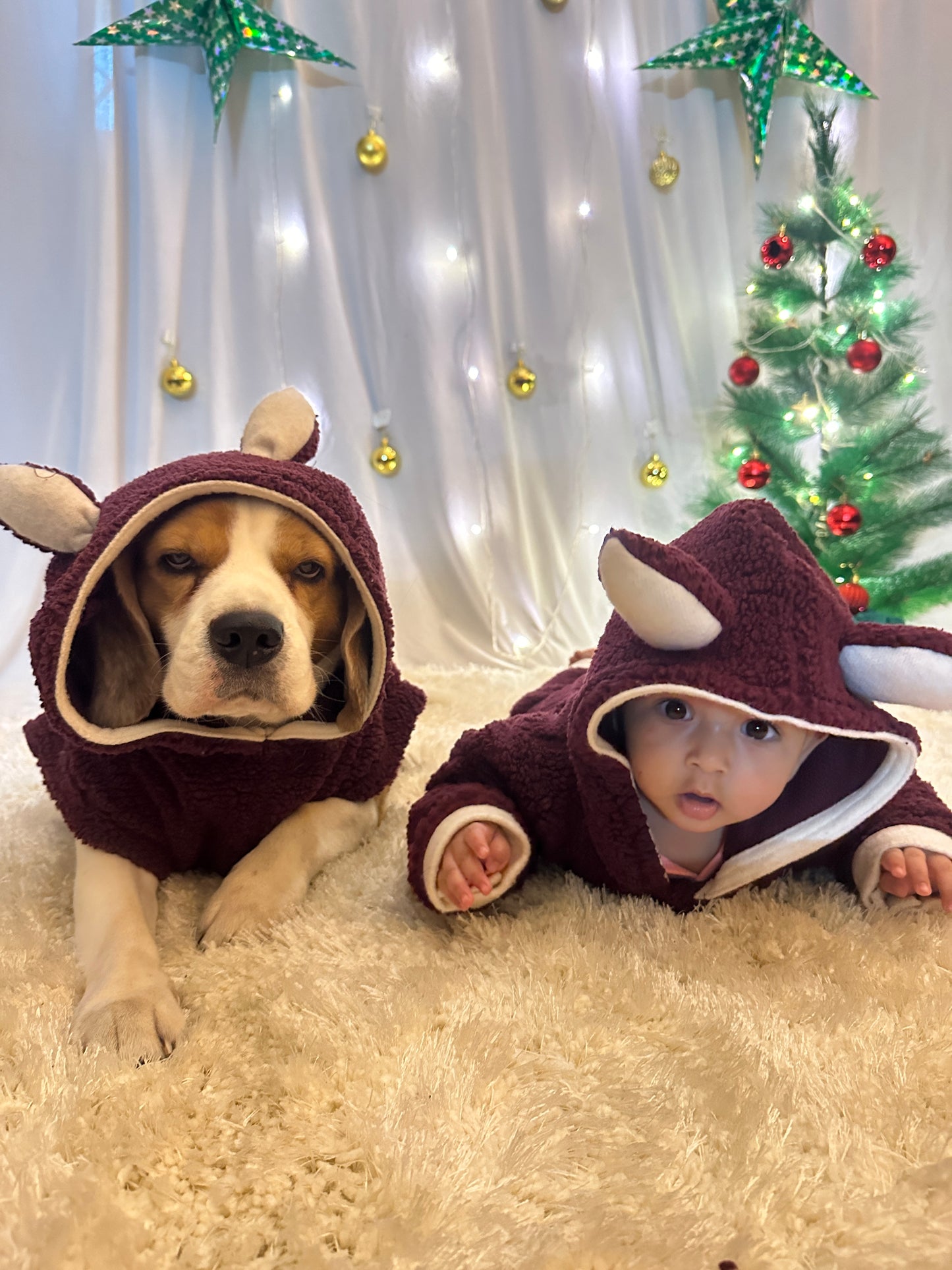 Red Teddy Hoodie Jacket