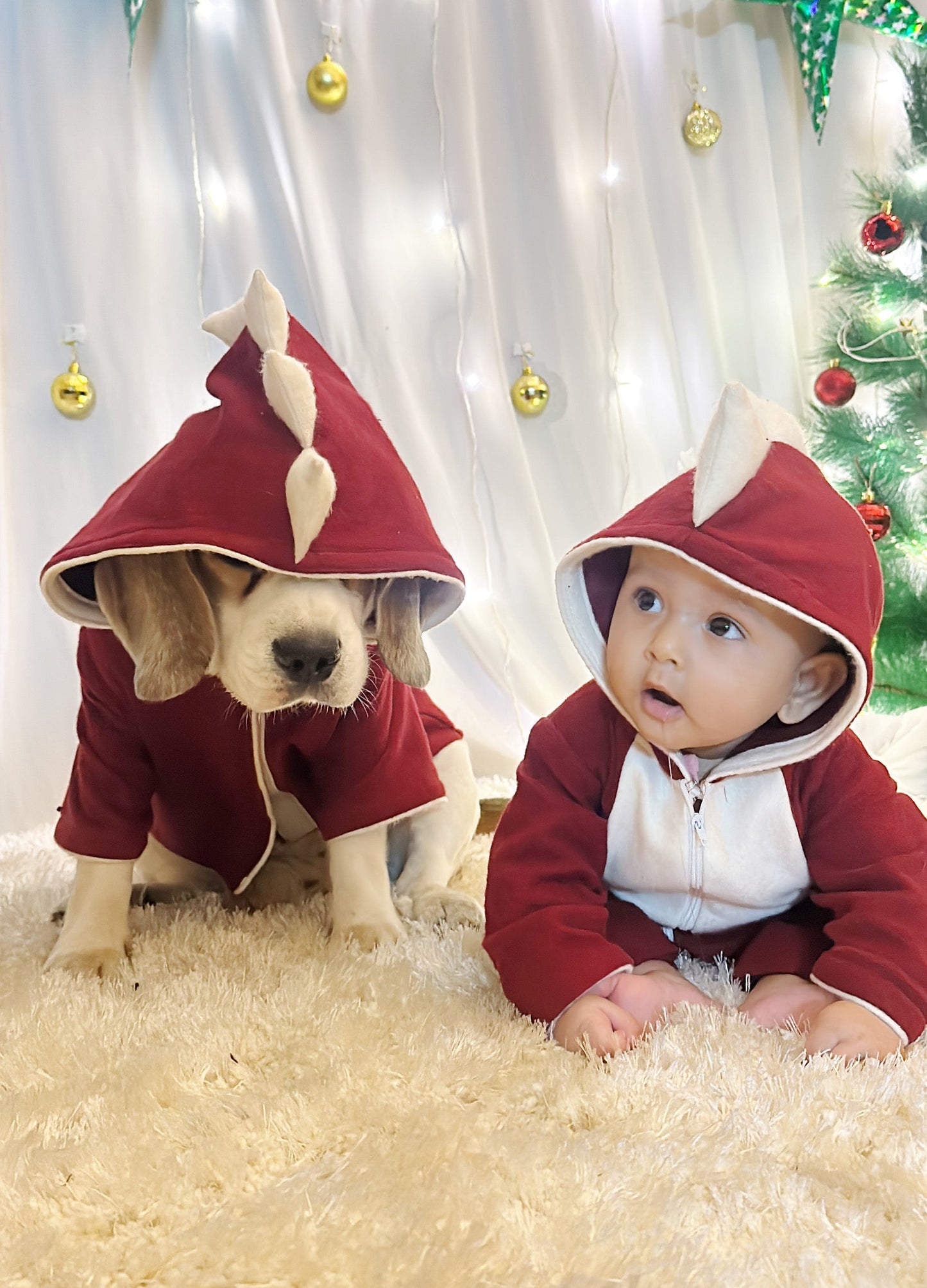 Red Dinosaur Twinning set