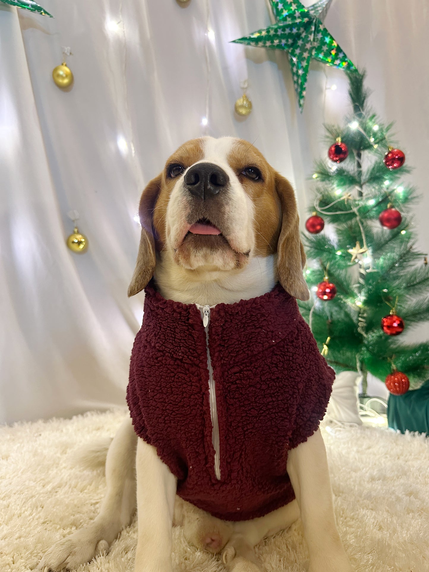 Red High-neck Jacket