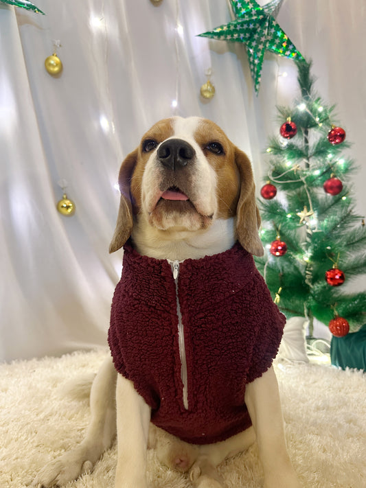 Red High-neck Jacket