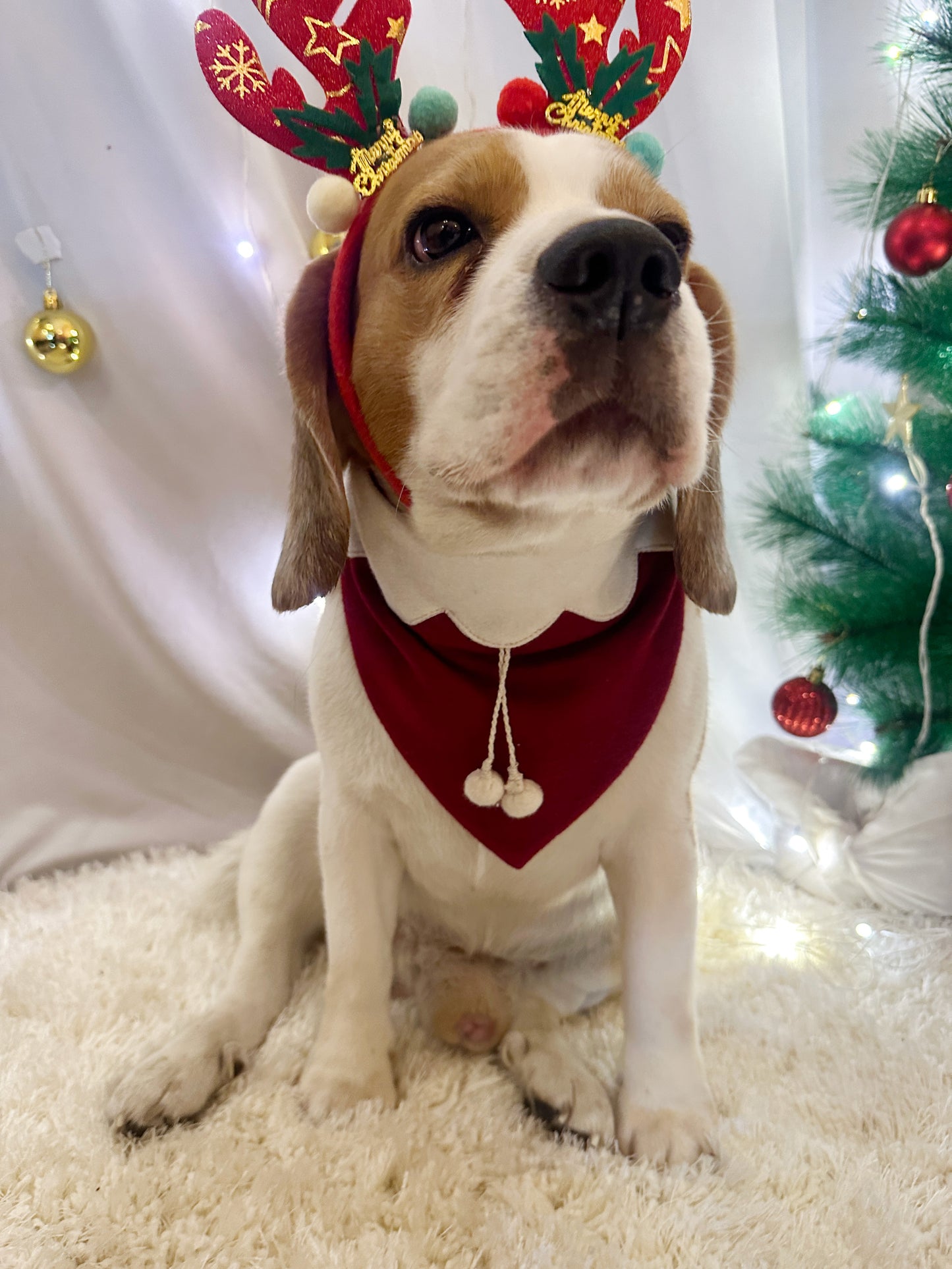 Red Christmas Bandana