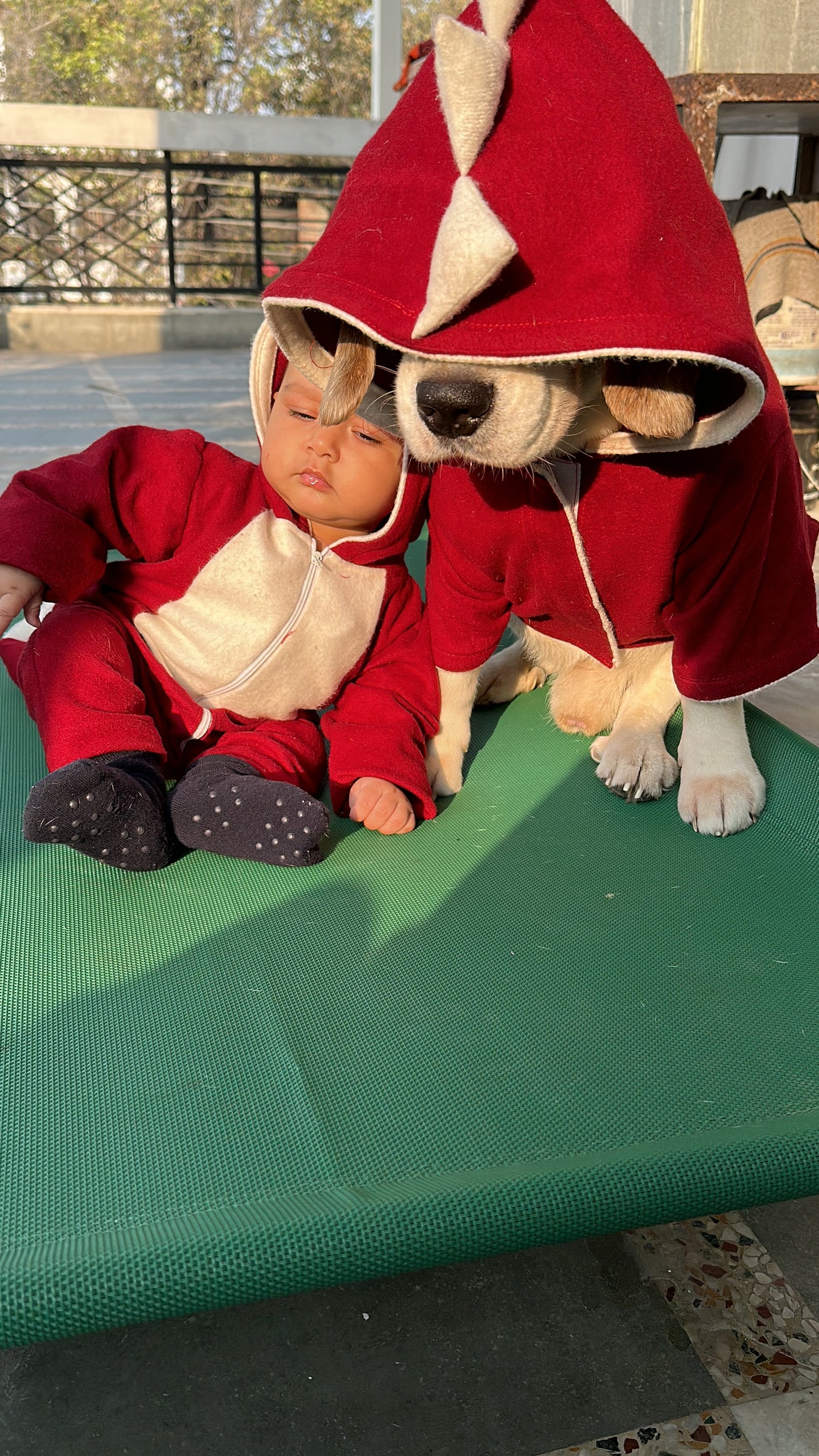 Red Dinosaur Twinning set