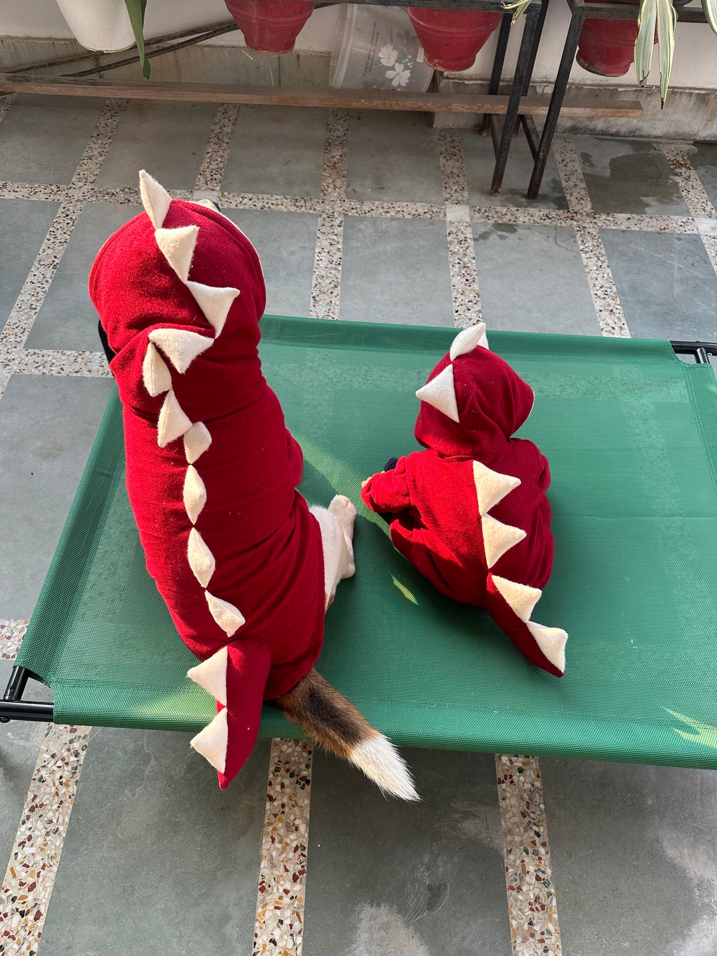 Red Dinosaur Twinning set