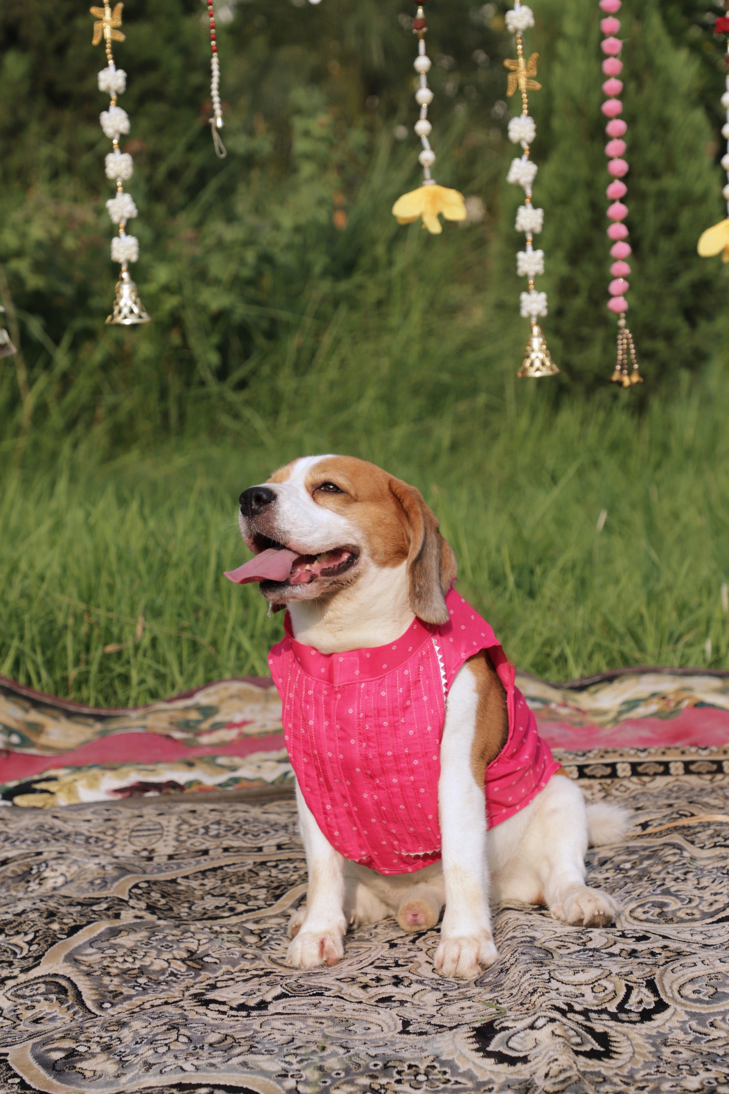 Pink Bandhani Kurta Twinning set