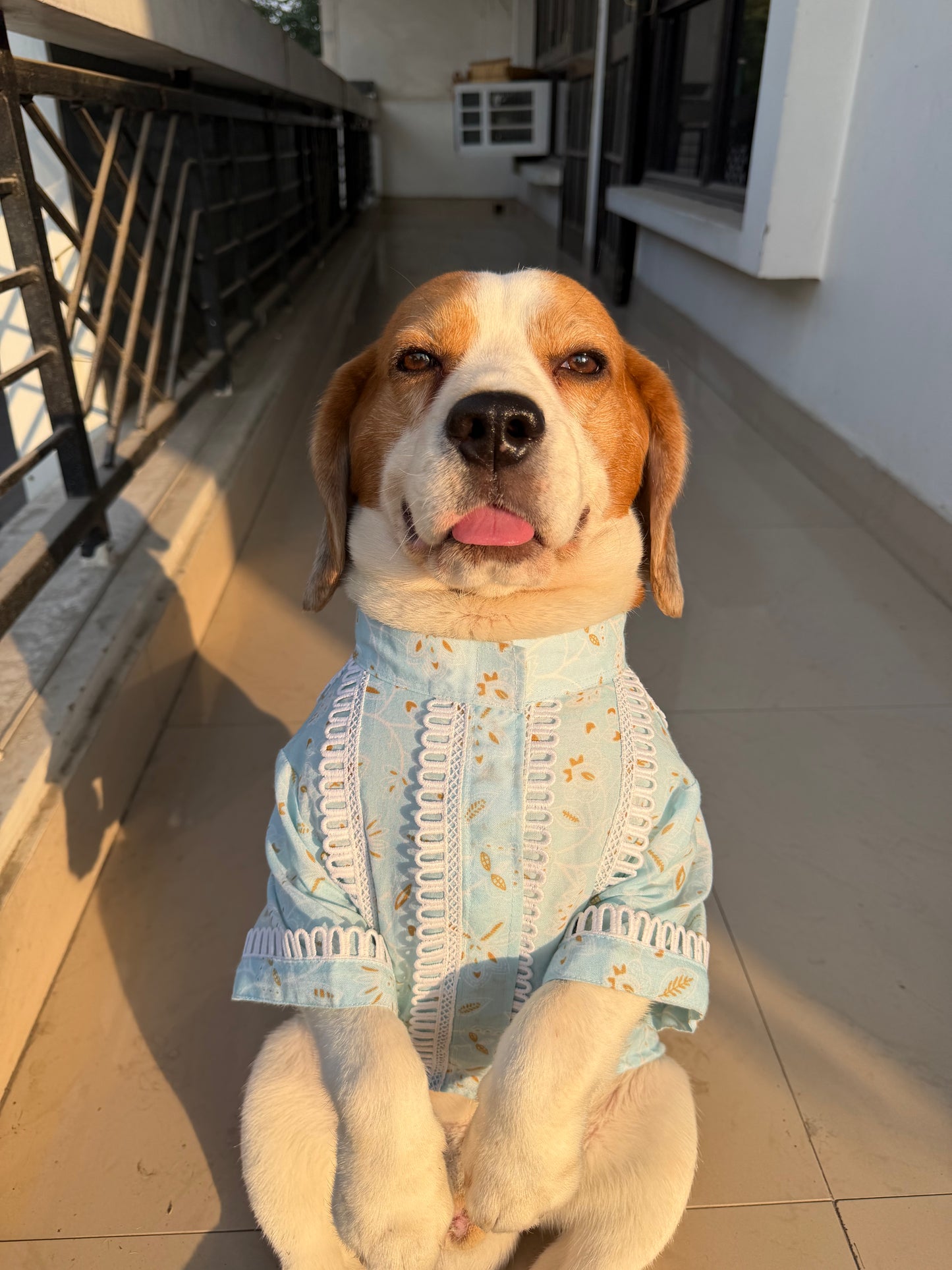 Blue Printed Kurta