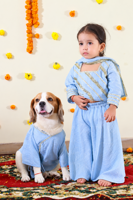 Blue Sharara Kurta Twinning set