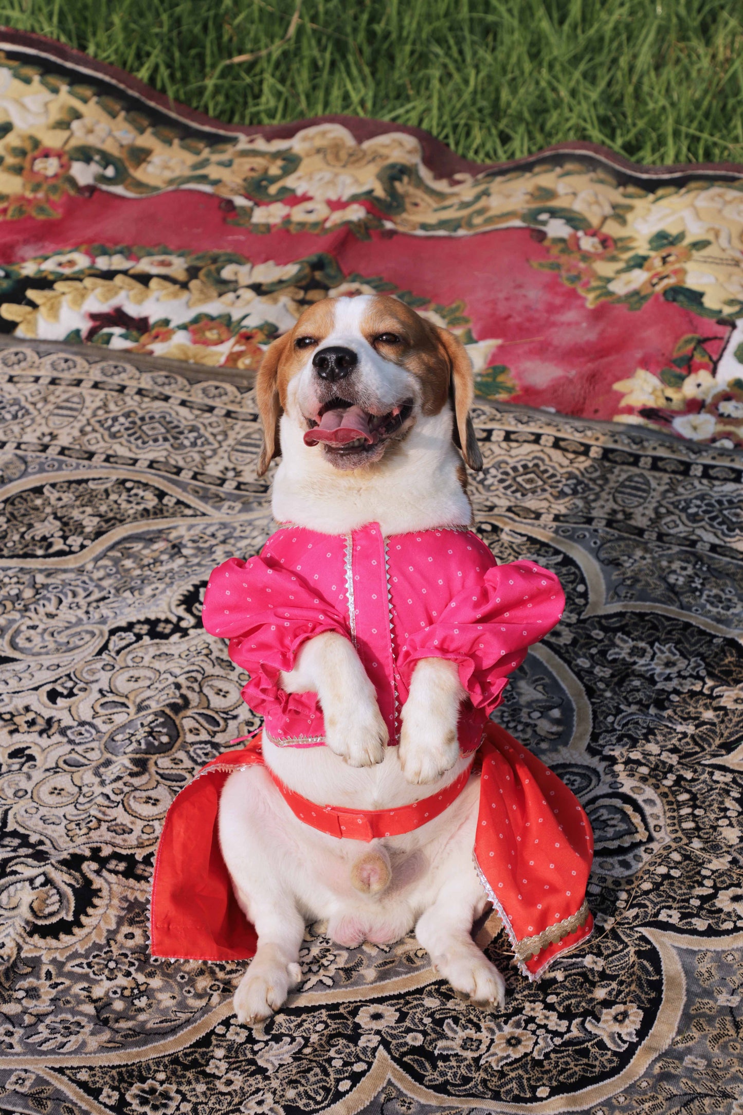 Pink Lehenga choli Twinning set