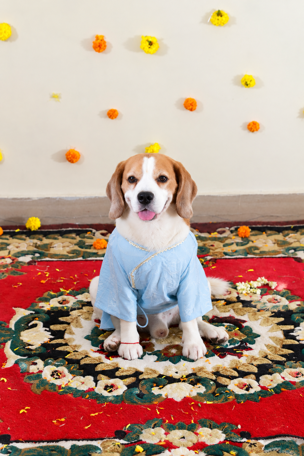Blue Angrakha Kurta