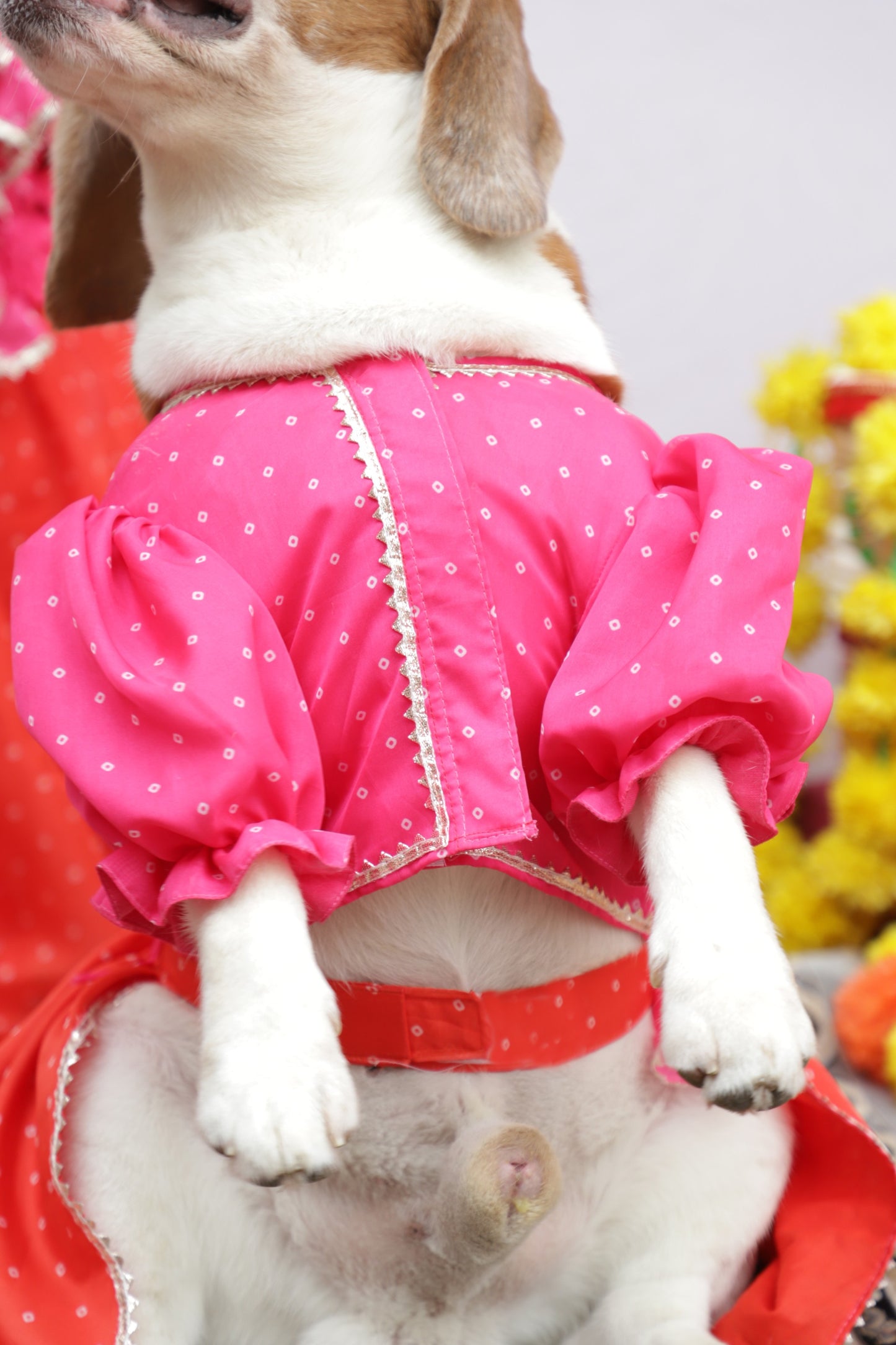 Pink-Orange Lehenga Set