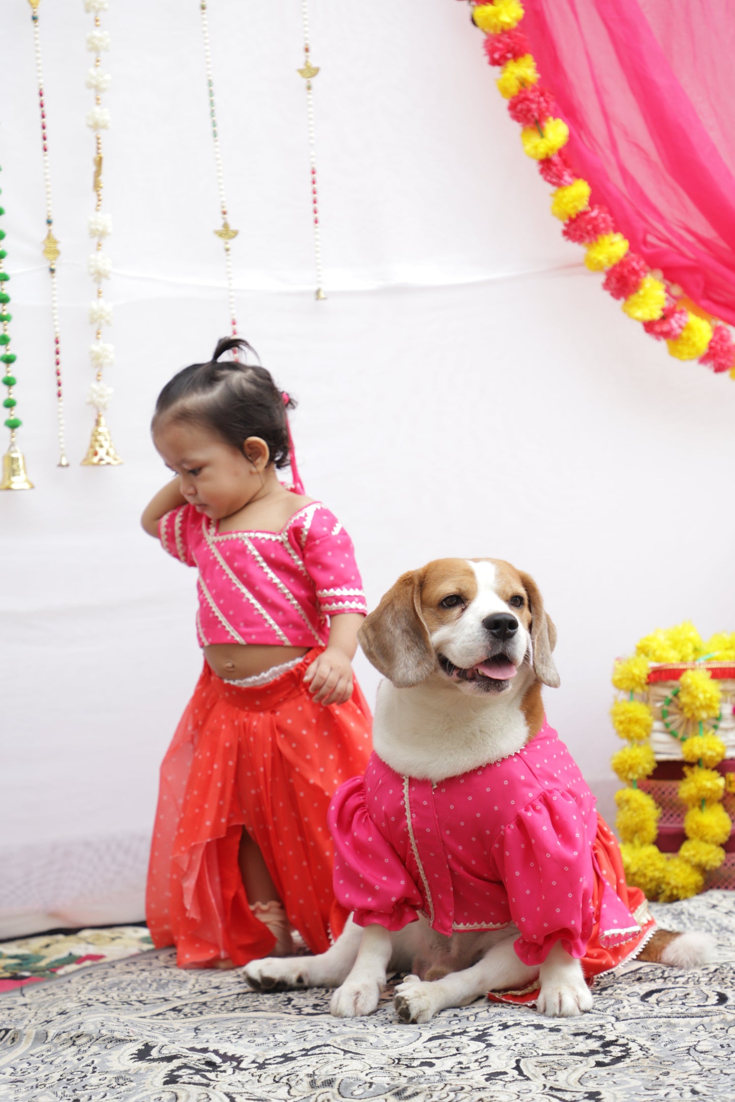 Pink Lehenga choli Twinning set