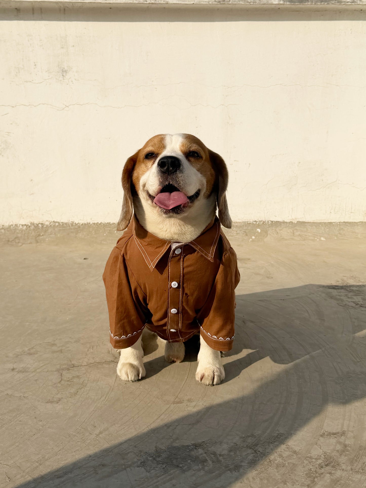 Brown Kurta Twinning set