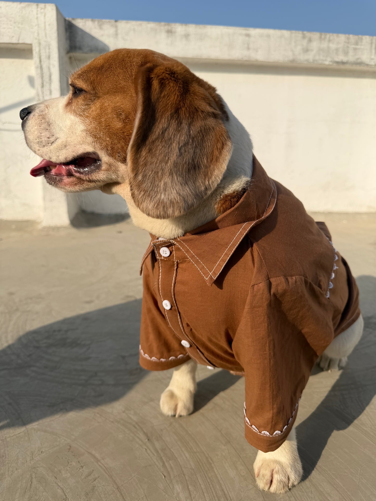 Brown Kurta Co-ord Twinning Set