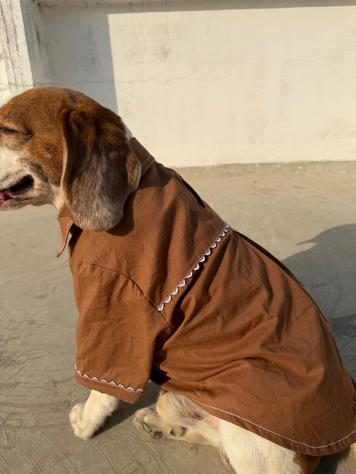 Brown Classic Shirt