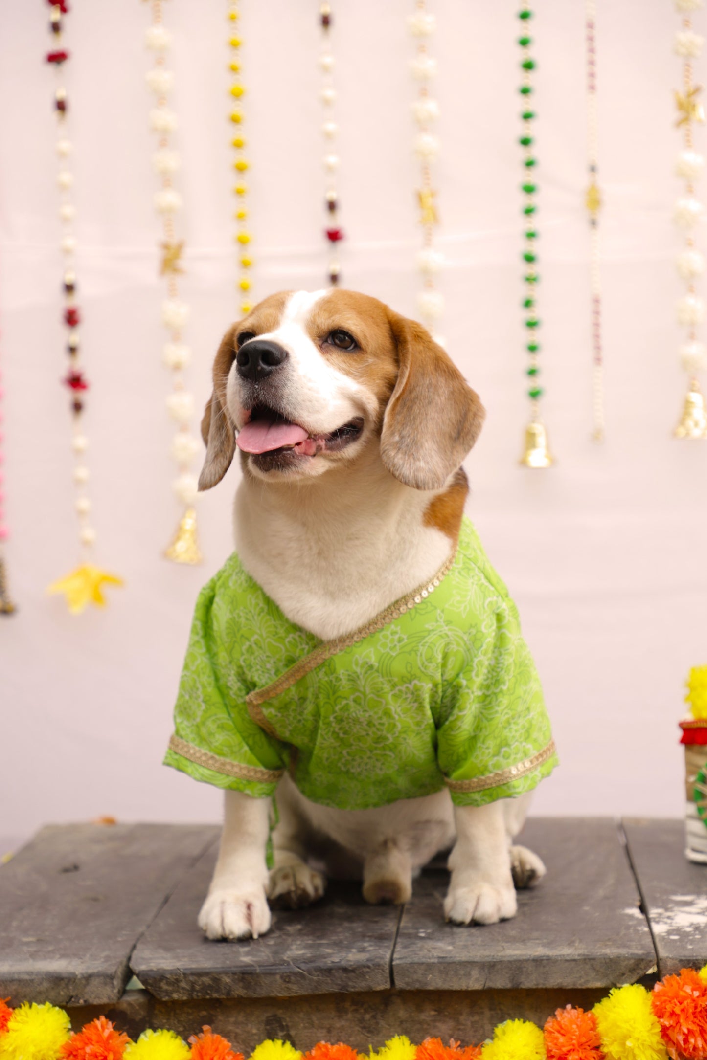 Green Floral Kurta Twinning set