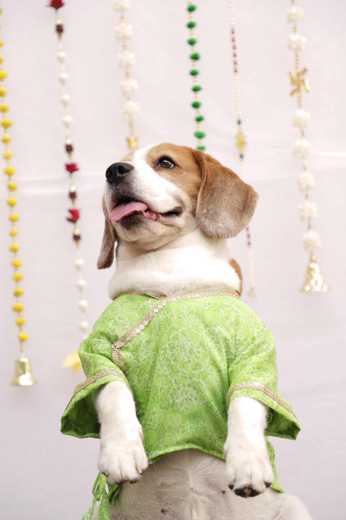 Green Floral Angrakha Twinning Set