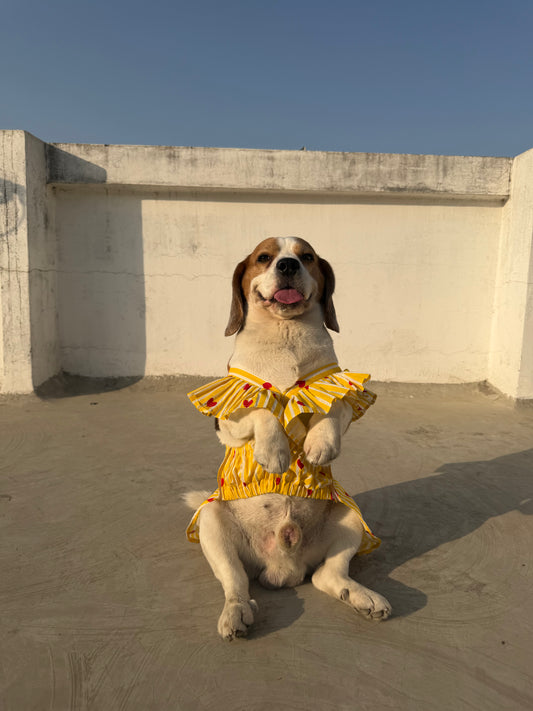 Yellow Stripped Dress