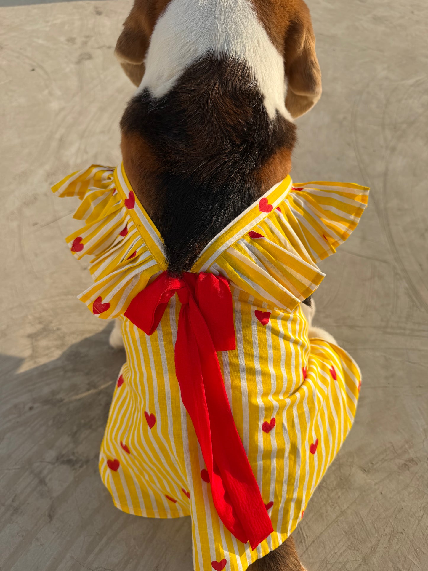 Yellow Stripped Dress