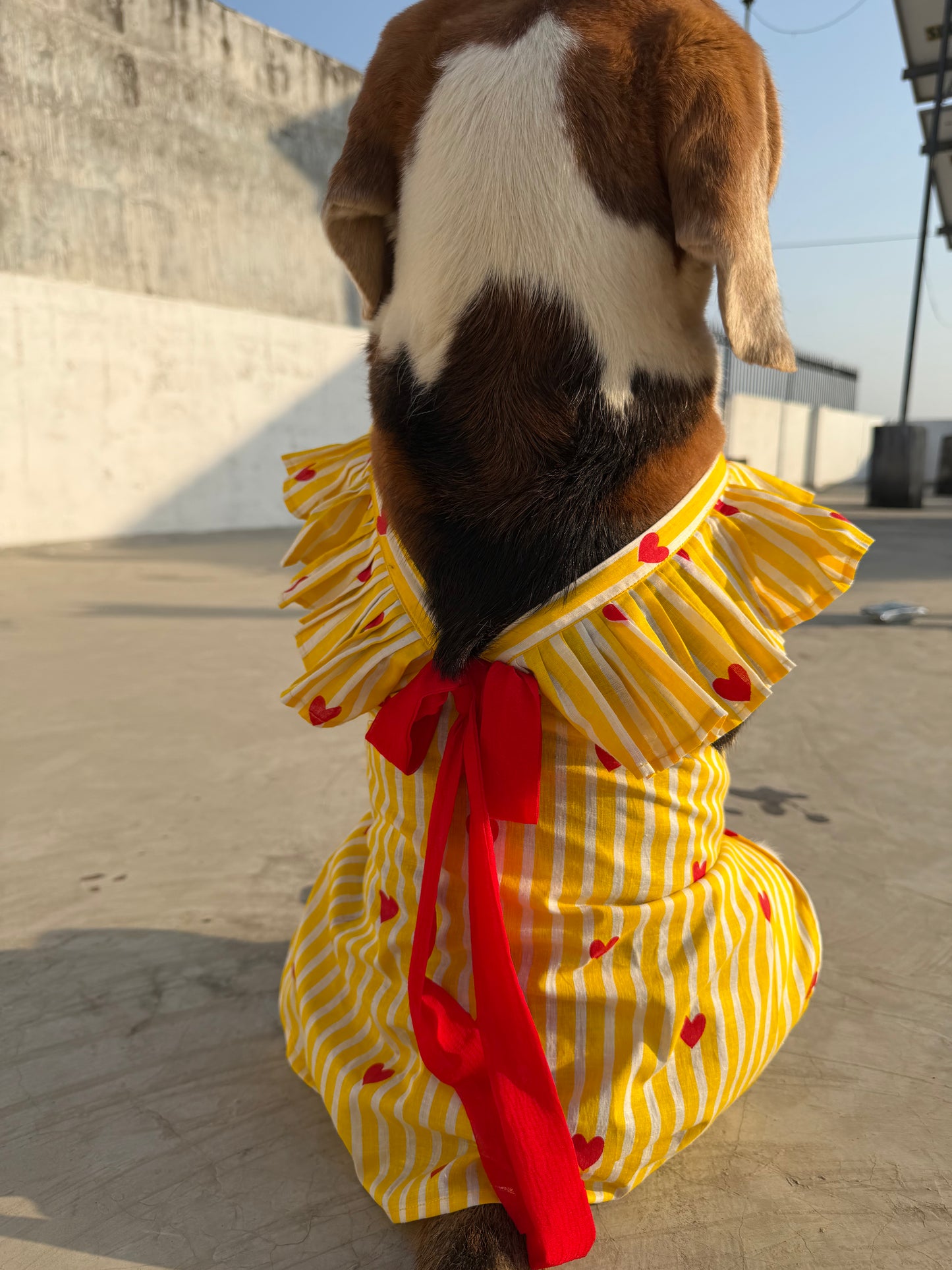 Yellow Striped Twinning set
