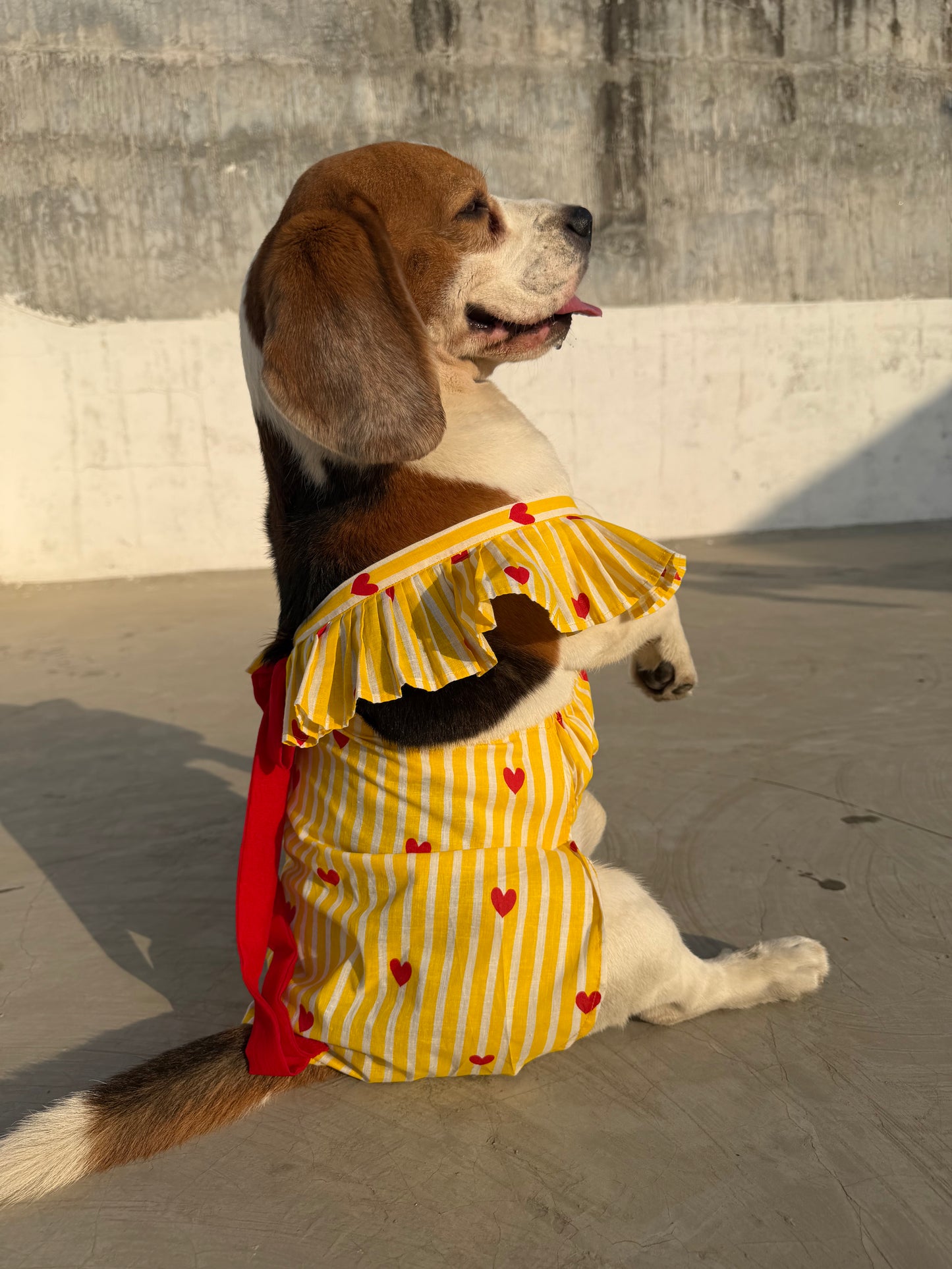 Yellow Stripped Dress