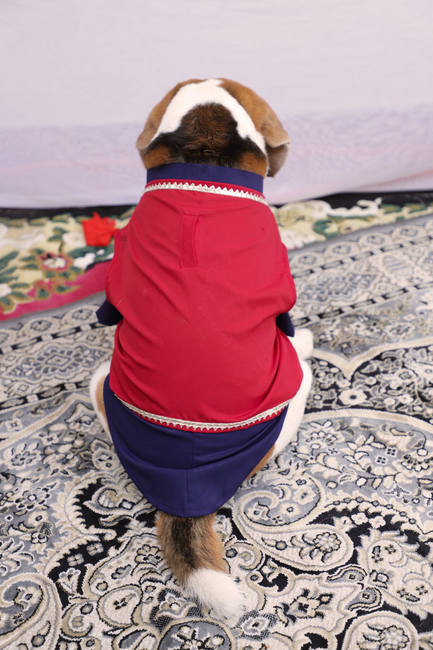 Navy Blue-Red Nehru Jacket Kurta Set