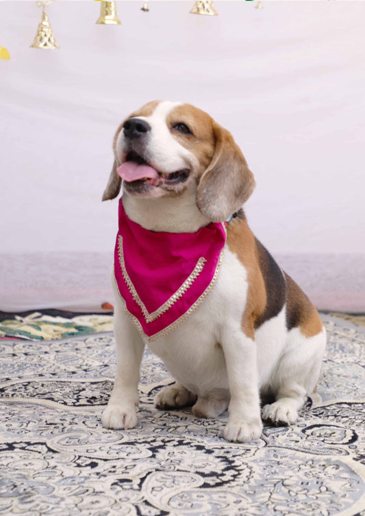 Pink Bandana