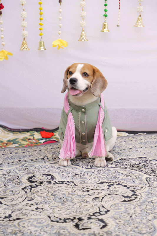 Pista Green Kurta With Dupatta