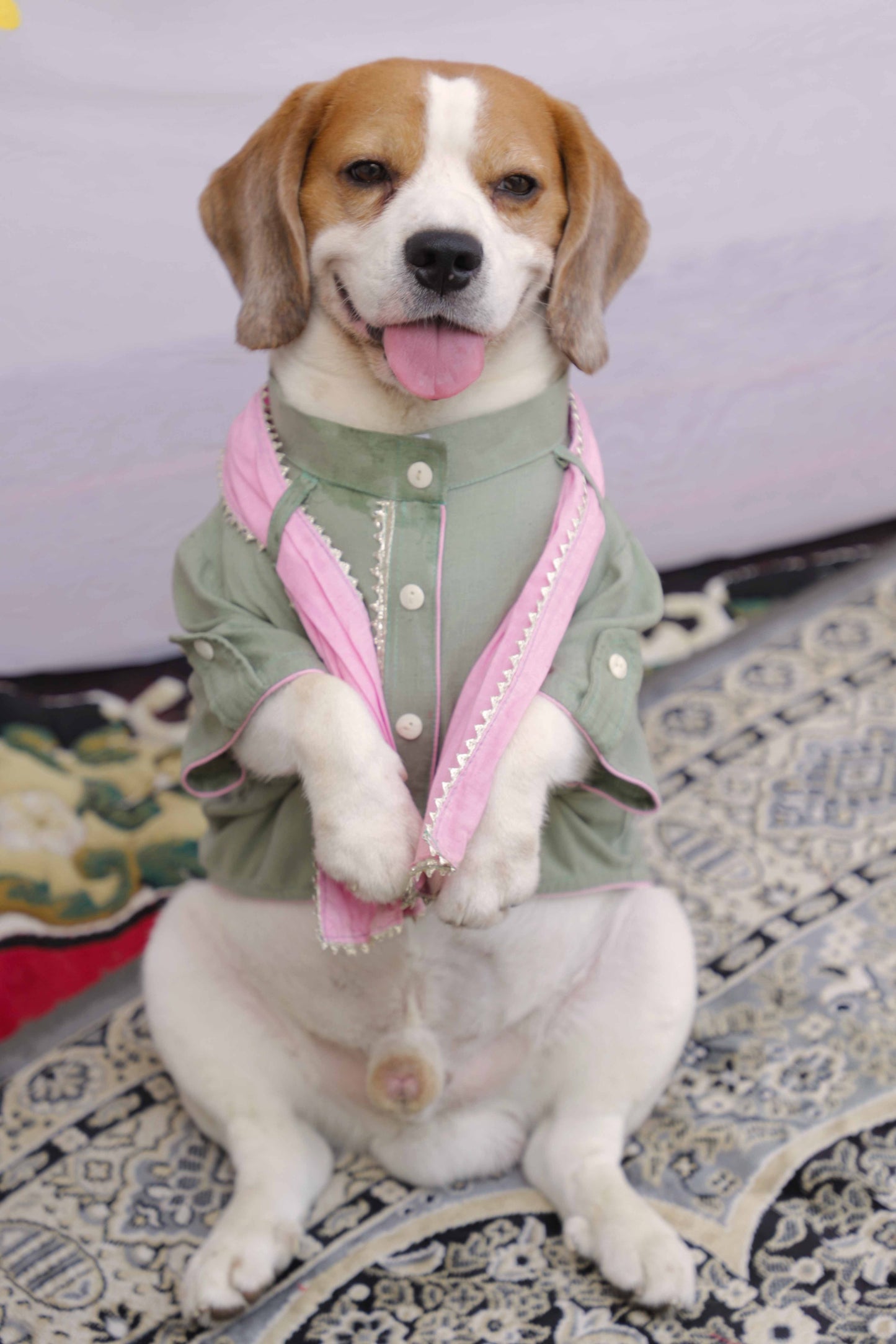 Pista-Pink Lehenga Twinning Set