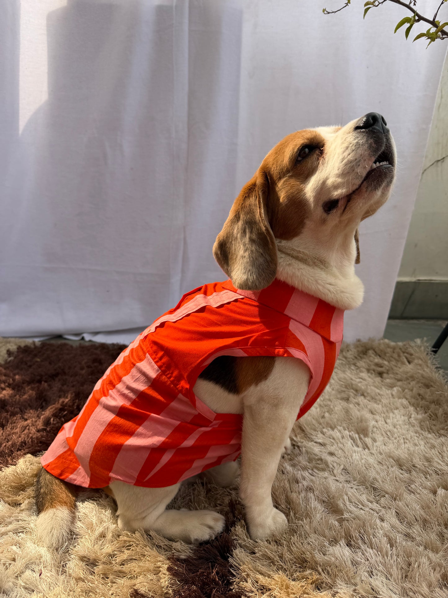 Orange Dungaree Shirt