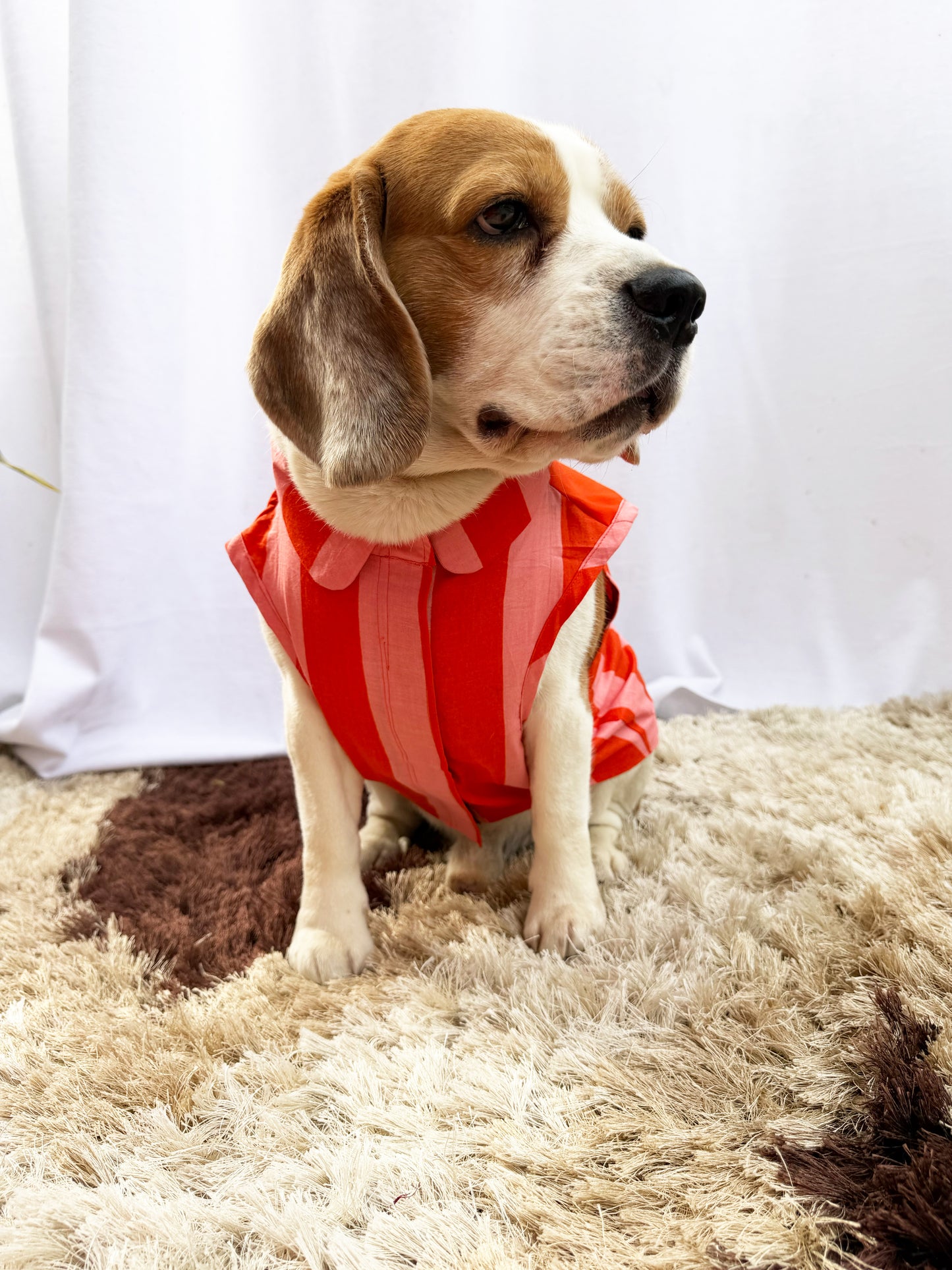 Orange Dungaree Shirt