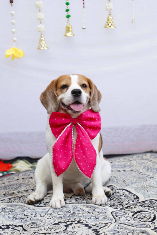 Pink Bandhani Bow