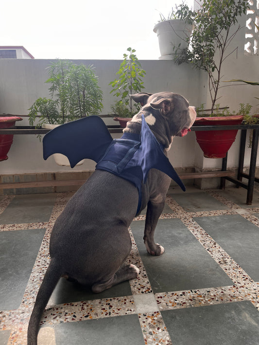 Denim Batwing
