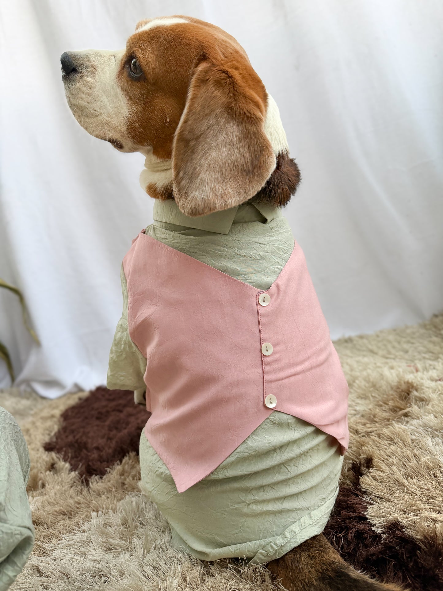 Teal Tuxedo Shirt