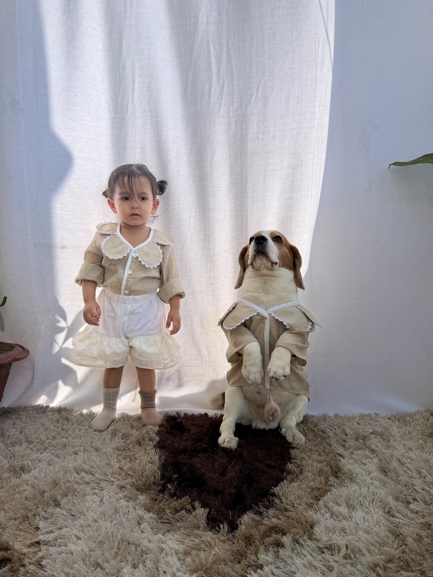 Beige Scalp Shirt Twinning Set
