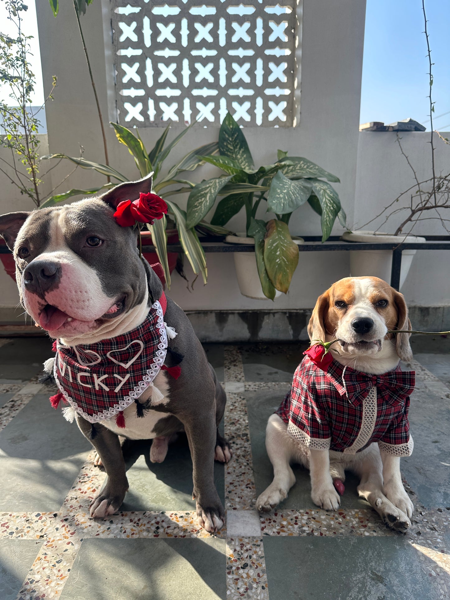 Red checked Bandana with Customised name