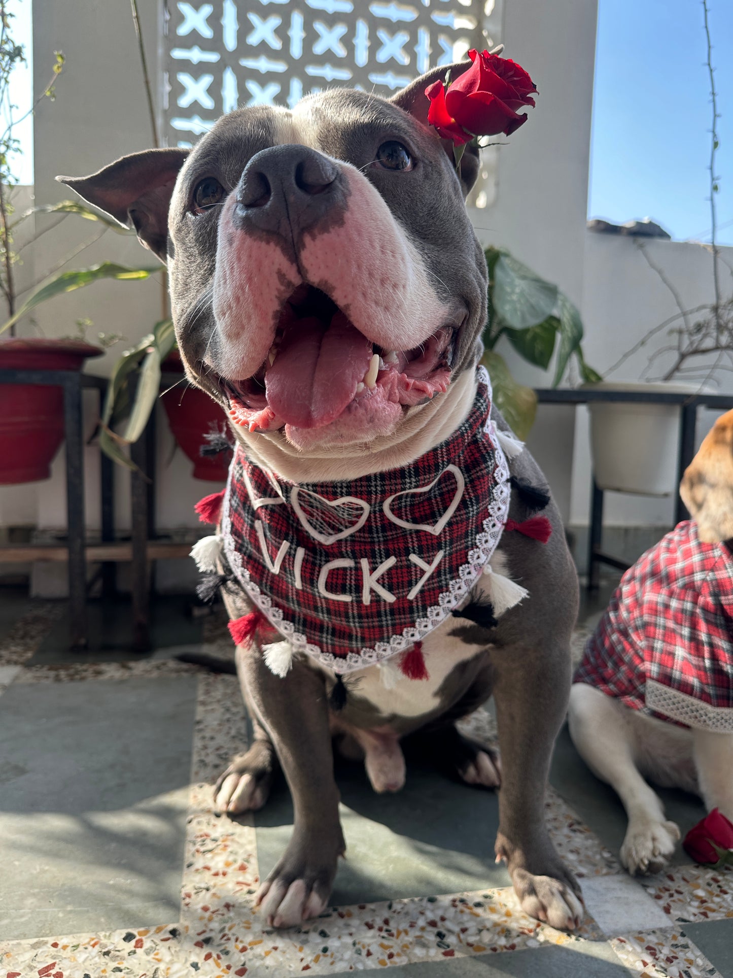 Red checked Bandana with Customised name