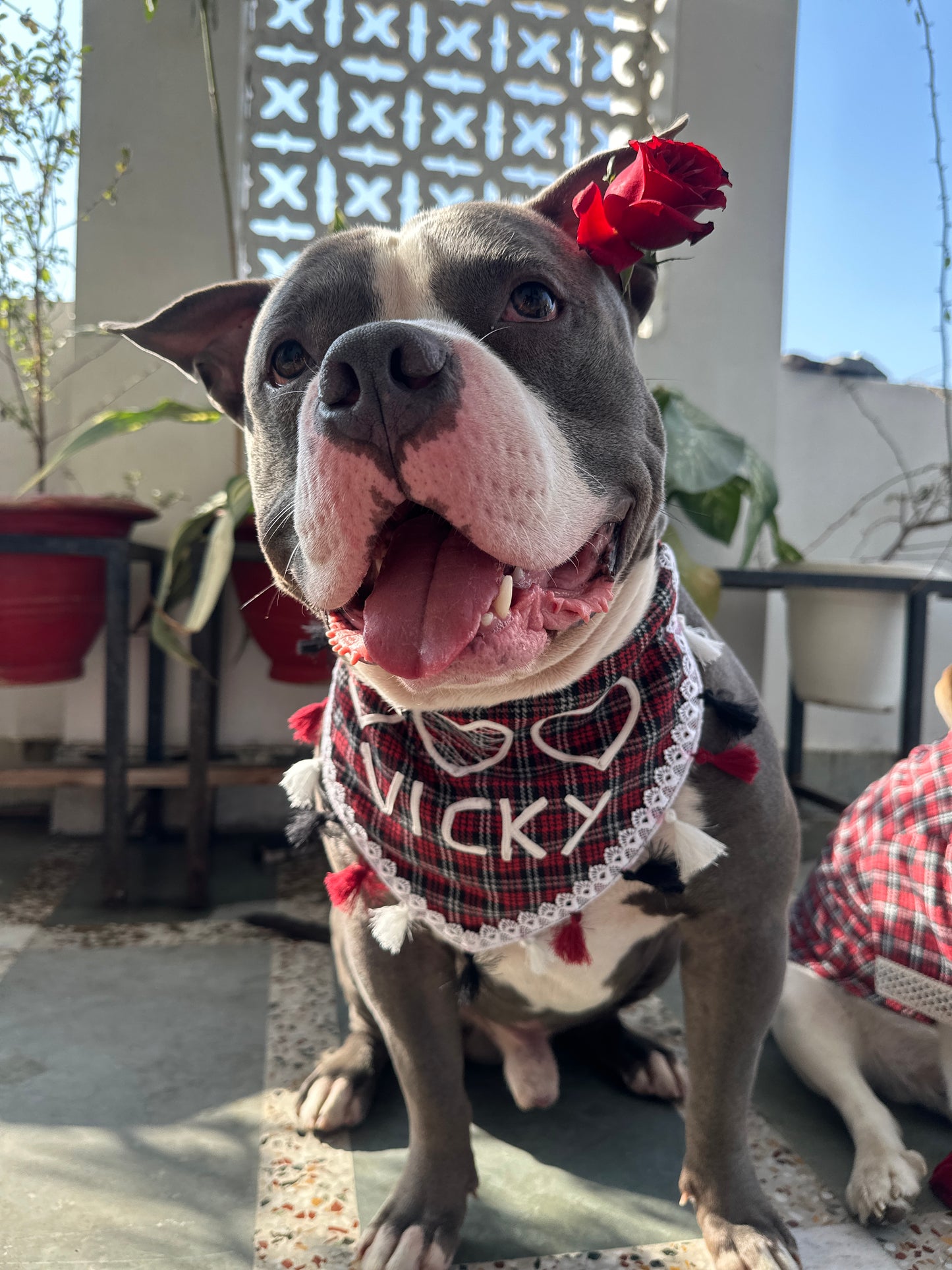 Red checked Bandana with Customised name