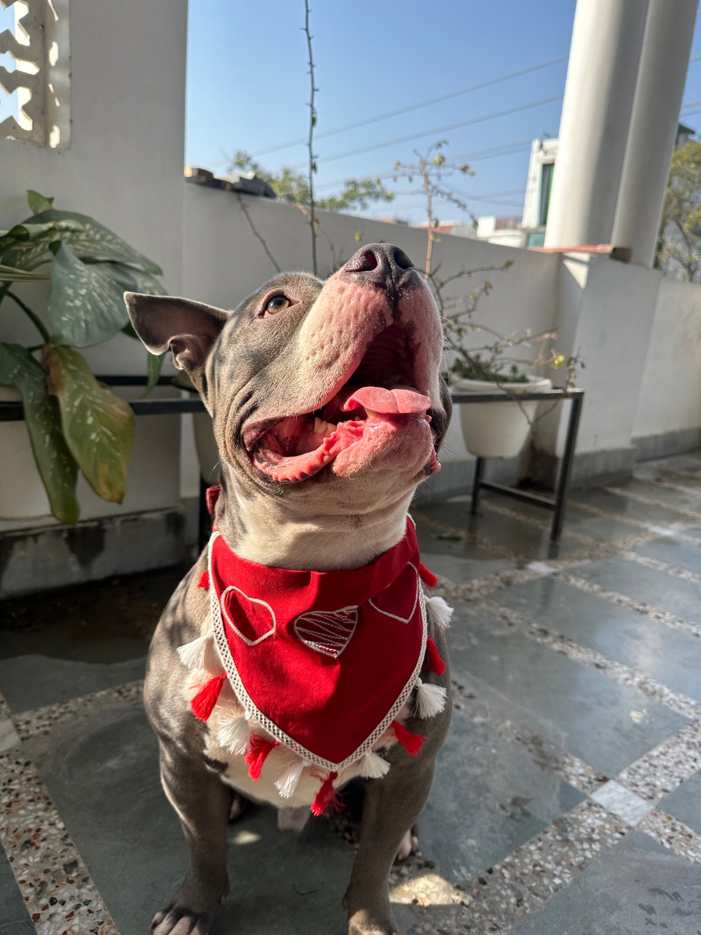 Red Heart Bandana tassels