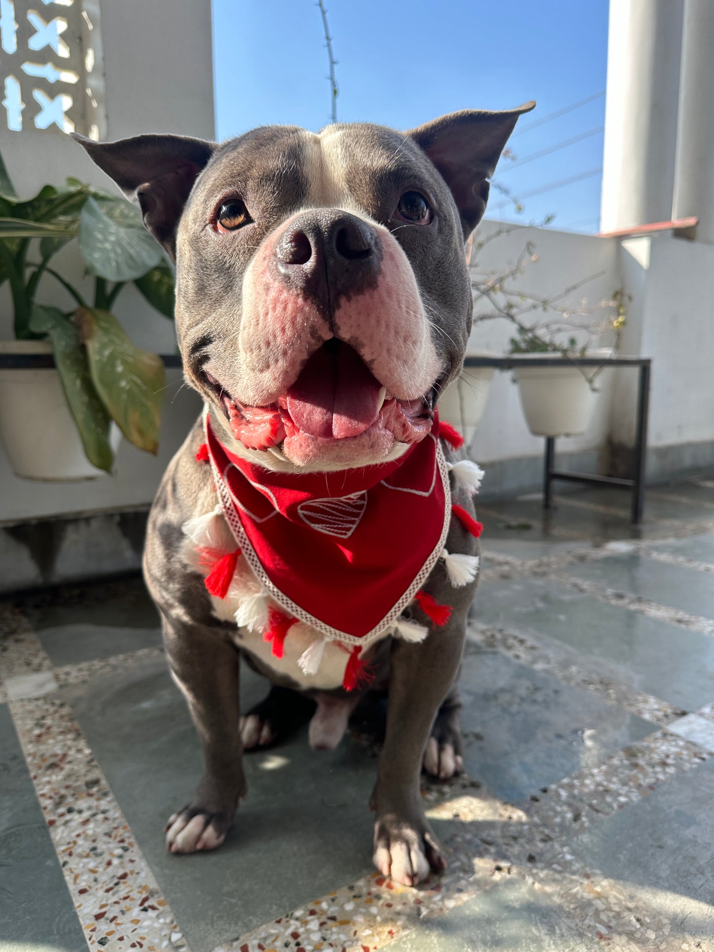 Red Heart Bandana tassels