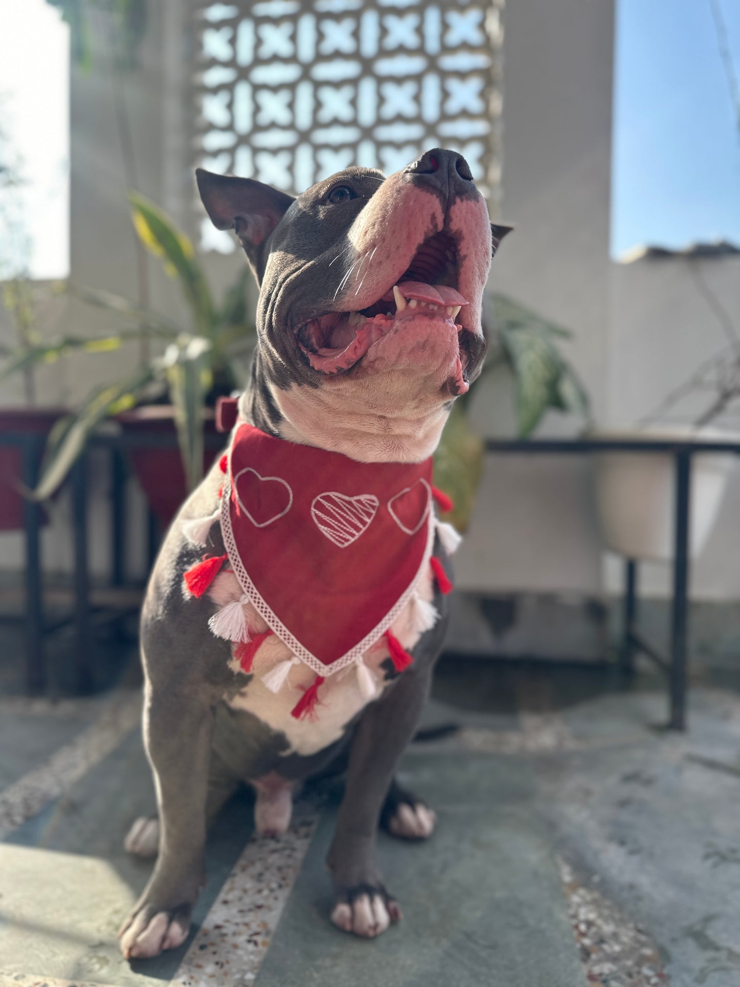 Red Heart Bandana tassels