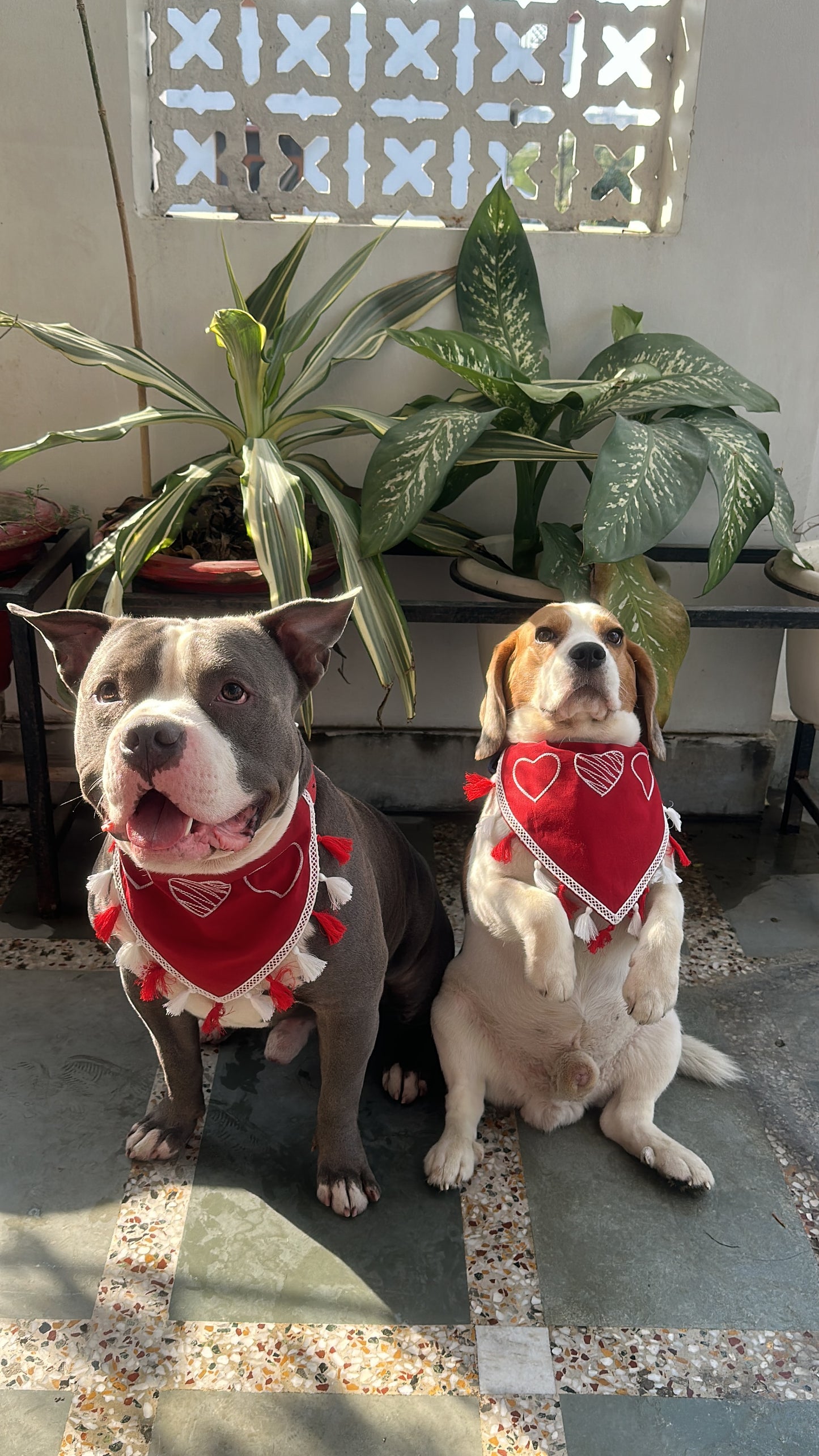 Red Heart Bandana tassels